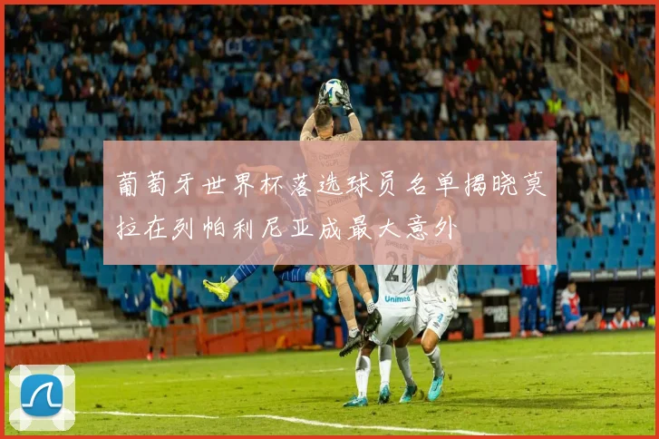 葡萄牙世界杯落选球员名单揭晓莫拉在列帕利尼亚成最大意外